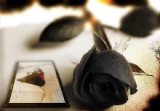 تارا_تاج
