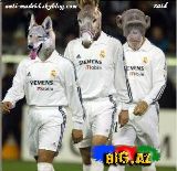 amir222