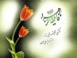 Ayhan-10