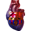ali-fcb_2012